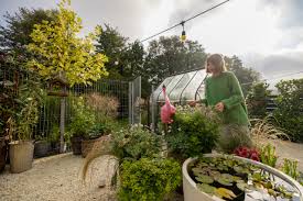 Post-Monsoon Planting: Fall Gardening Tips for the Barely Motivated